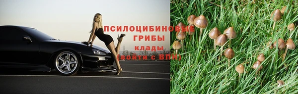 прущая мука Козловка