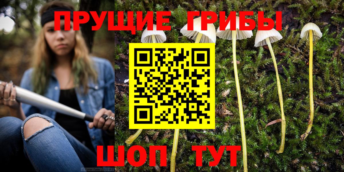Алатырь  Псилоцибиновые грибы прущие грибы  Вход с VPN 
