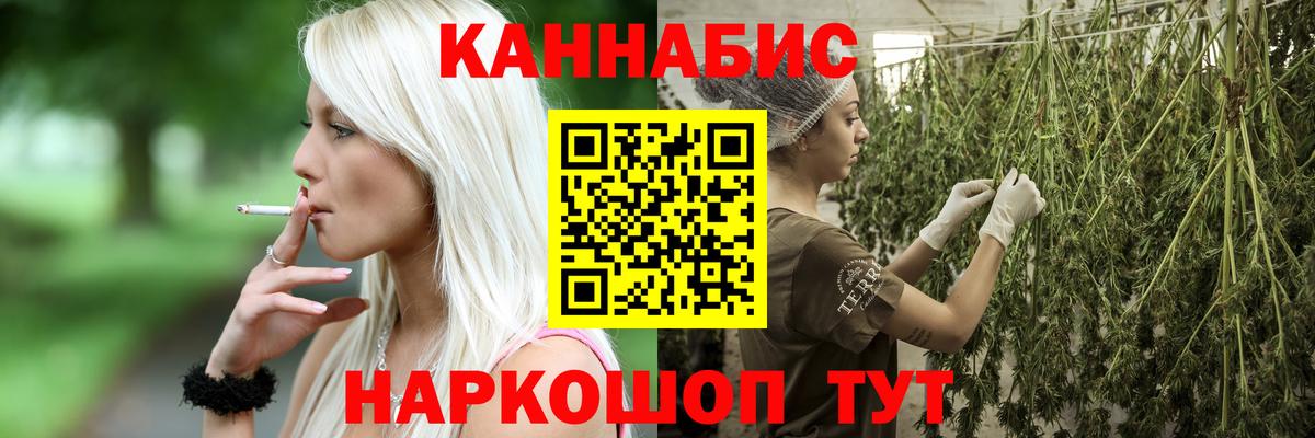 Канабис OG Kush  Вход с VPN  Алатырь  Бошки марихуана индика 